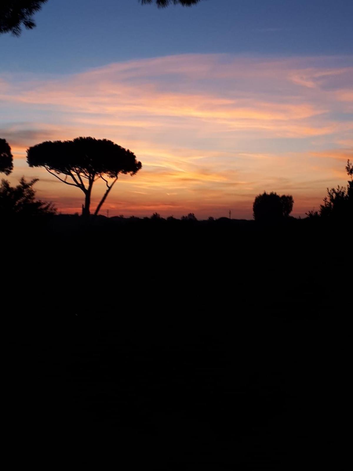Podere Serena Castagneto Carducci Luaran gambar